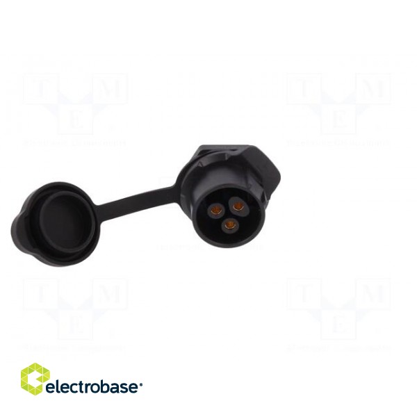 Socket | Connector: circular | size 20 | 02 | female | PIN: 3 | for latch фото 9