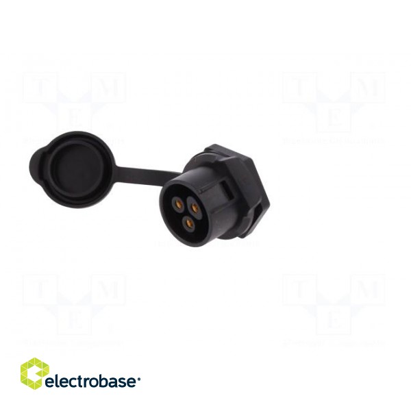 Socket | Connector: circular | size 20 | 02 | female | PIN: 3 | for latch фото 2