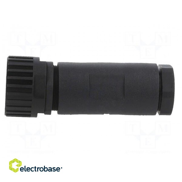 Plug | Connector: DIN 43651 | NR | female | PIN: 12 | w/o contacts | 5A image 3