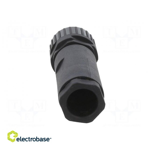 Plug | Connector: DIN 43651 | NR | female | PIN: 12 | w/o contacts | 5A image 5