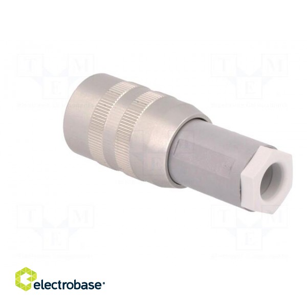 Plug | Connector: DIN 43651 | NR | female | PIN: 7 | w/o contacts | 10A image 4