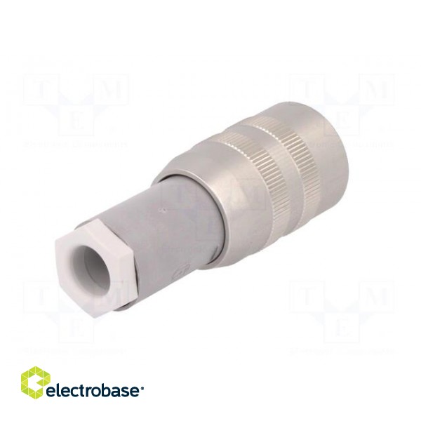 Plug | Connector: DIN 43651 | NR | female | PIN: 7 | w/o contacts | 10A image 6