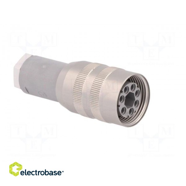 Plug | Connector: DIN 43651 | NR | female | PIN: 7 | w/o contacts | 10A image 8