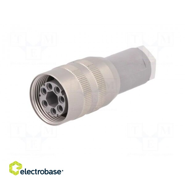 Plug | Connector: DIN 43651 | NR | female | PIN: 7 | w/o contacts | 10A image 2