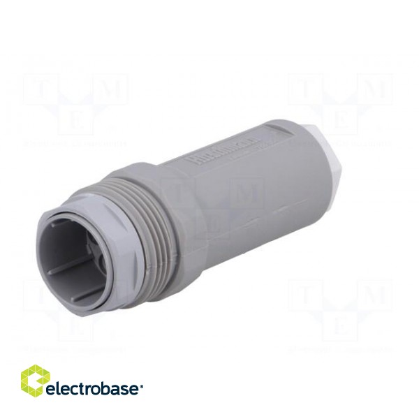 Plug | Connector: DIN 43651 | NR | male | PIN: 7 | w/o contacts | 10A | IP65 image 2