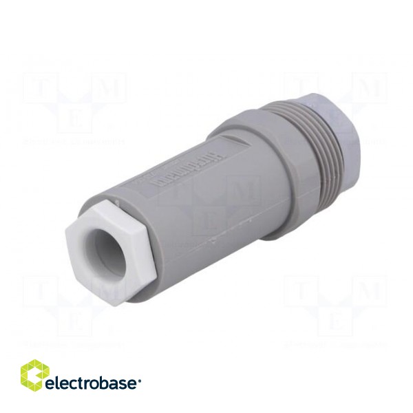 Connector: DIN 43651 | plug | NR | male | PIN: 7 | w/o contacts | 10A | IP65 image 6