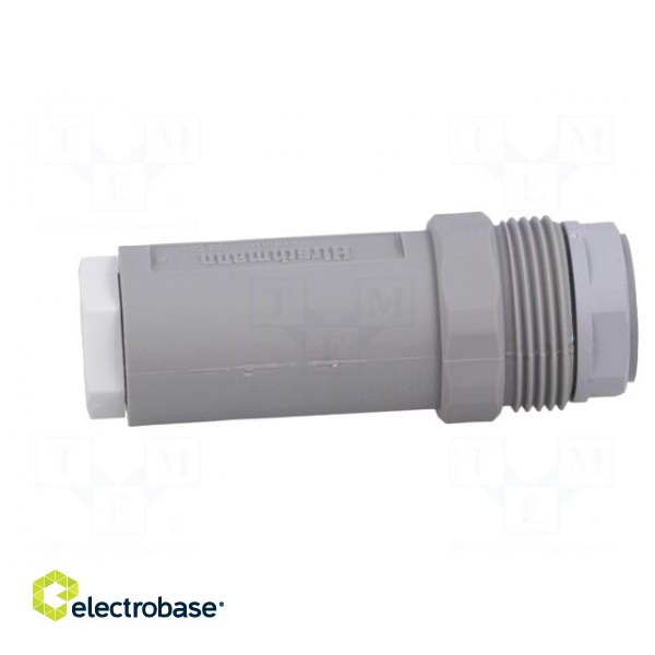 Connector: DIN 43651 | plug | NR | male | PIN: 7 | w/o contacts | 10A | IP65 image 7