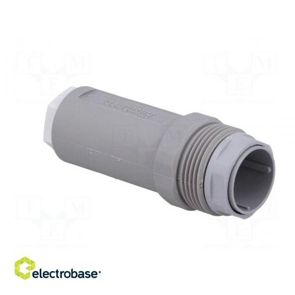 Connector: DIN 43651 | plug | NR | male | PIN: 7 | w/o contacts | 10A | IP65 image 8