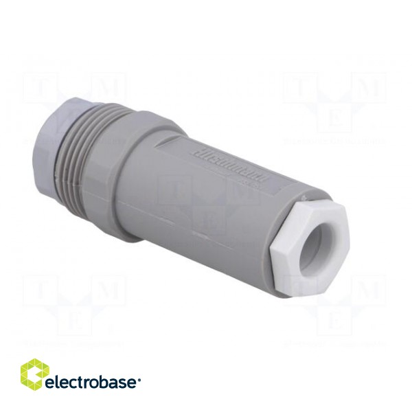 Connector: DIN 43651 | plug | NR | male | PIN: 7 | w/o contacts | 10A | IP65 image 4