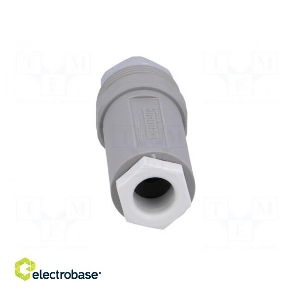 Plug | Connector: DIN 43651 | NR | male | PIN: 7 | w/o contacts | 10A | IP65 image 5