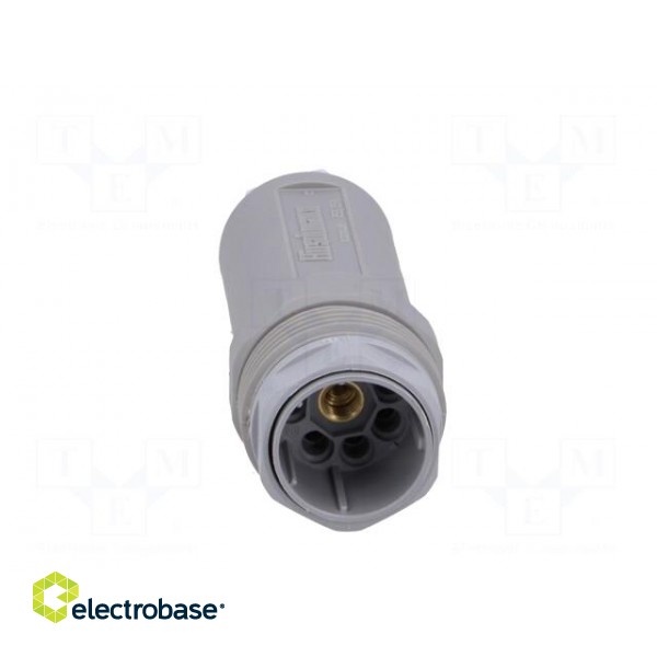 Plug | Connector: DIN 43651 | NR | male | PIN: 7 | w/o contacts | 10A | IP65 paveikslėlis 9