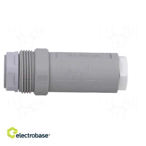 Connector: DIN 43651 | plug | NR | male | PIN: 7 | w/o contacts | 10A | IP65 image 3