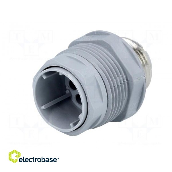 Socket | Connector: DIN 43651 | NR | male | PIN: 12 | w/o contacts | 5A image 2