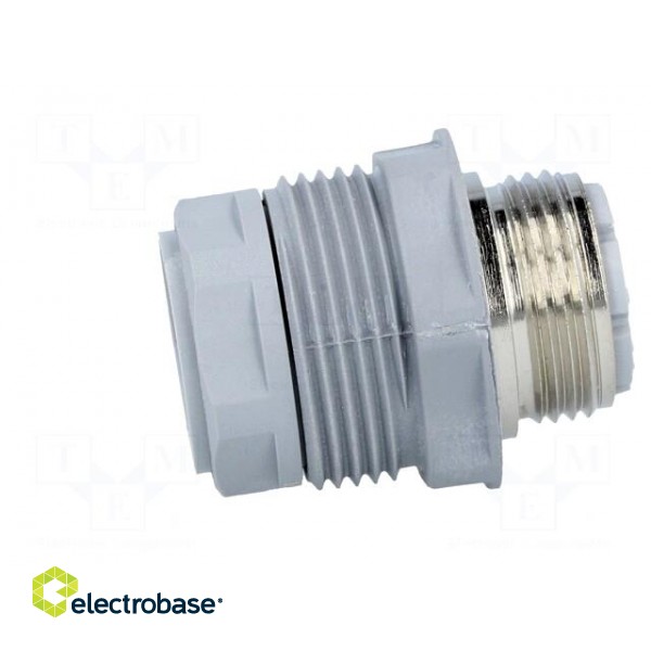 Connector: DIN 43651 | socket | NR | male | PIN: 12 | w/o contacts | 5A image 3