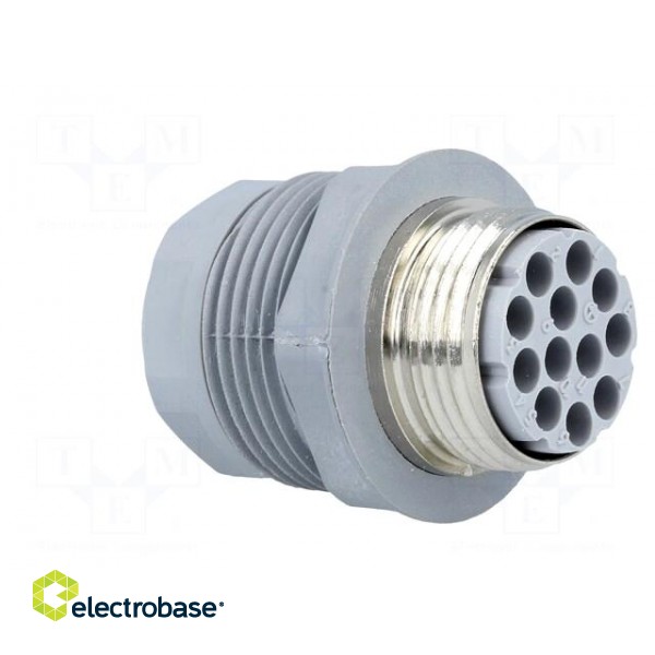Socket | Connector: DIN 43651 | NR | male | PIN: 12 | w/o contacts | 5A image 4