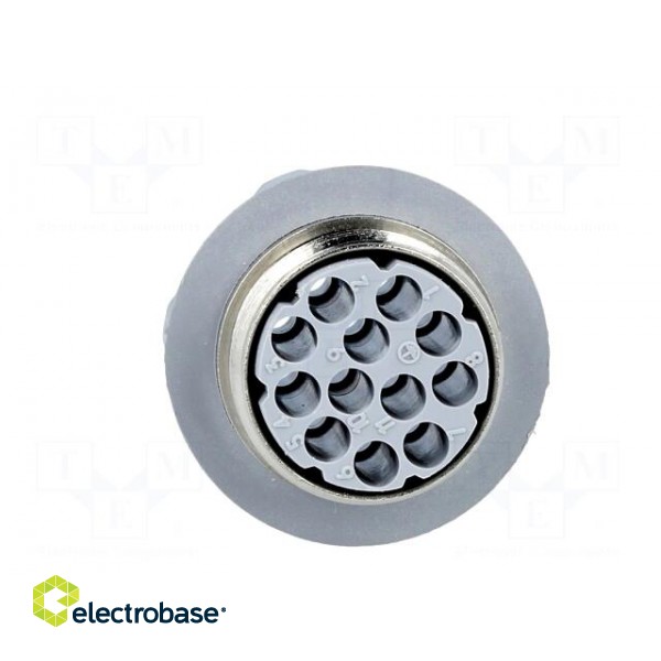 Connector: DIN 43651 | socket | NR | male | PIN: 12 | w/o contacts | 5A image 5