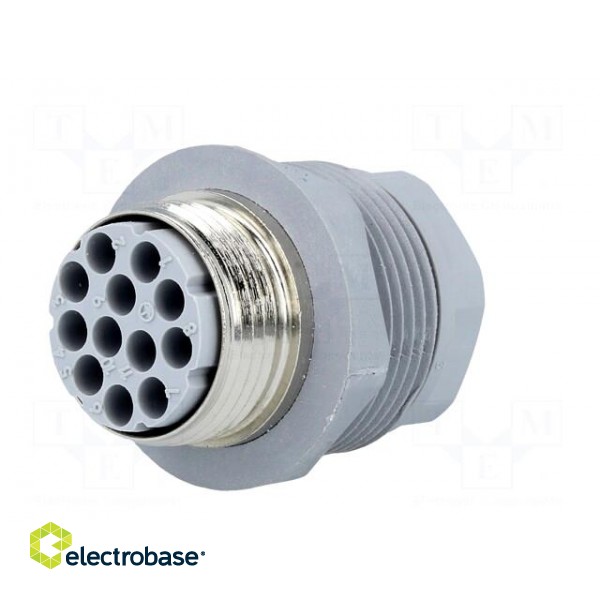 Connector: DIN 43651 | socket | NR | male | PIN: 12 | w/o contacts | 5A image 6