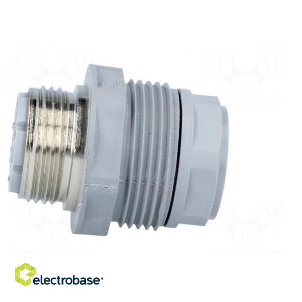 Socket | Connector: DIN 43651 | NR | male | PIN: 12 | w/o contacts | 5A image 7