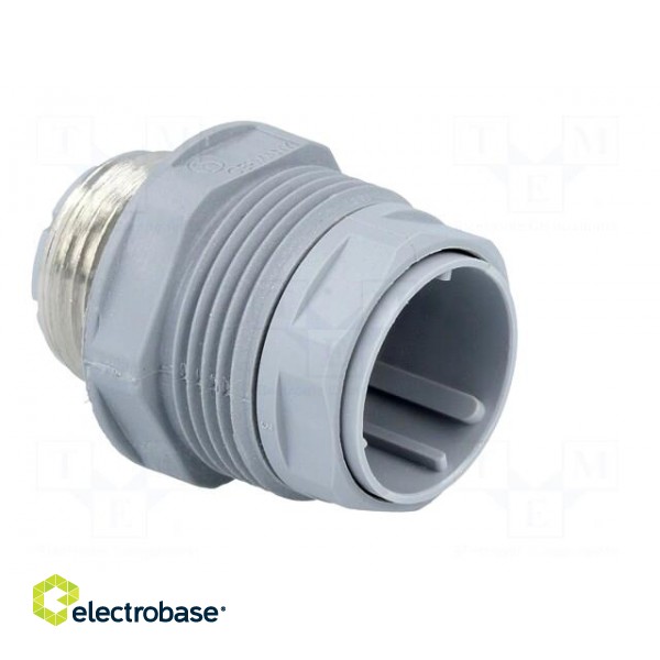Socket | Connector: DIN 43651 | NR | male | PIN: 12 | w/o contacts | 5A paveikslėlis 8