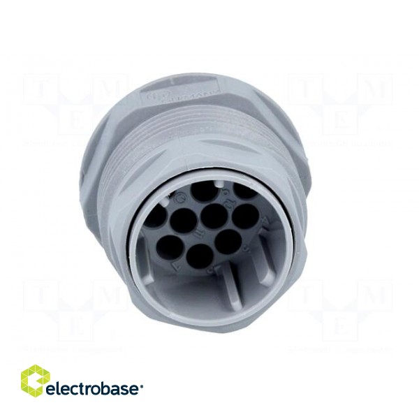Socket | Connector: DIN 43651 | NR | male | PIN: 12 | w/o contacts | 5A image 9