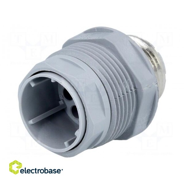 Socket | Connector: DIN 43651 | NR | male | PIN: 12 | w/o contacts | 5A image 1