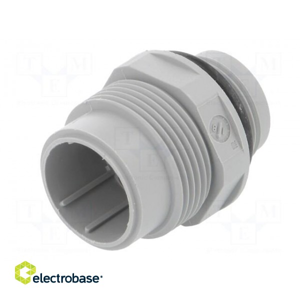Socket | Connector: DIN 43651 | NR | male | PIN: 7 | w/o contacts | 10A фото 2