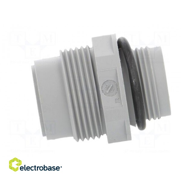 Socket | Connector: DIN 43651 | NR | male | PIN: 7 | w/o contacts | 10A paveikslėlis 3
