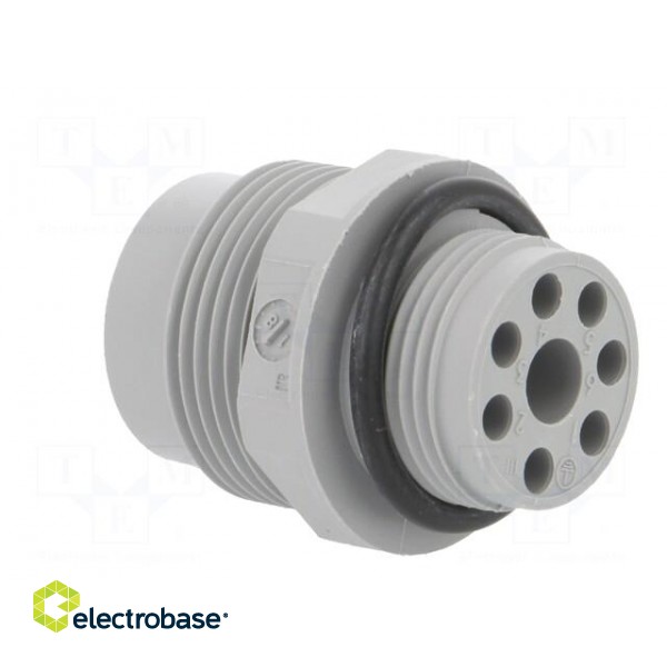 Socket | Connector: DIN 43651 | NR | male | PIN: 7 | w/o contacts | 10A фото 4