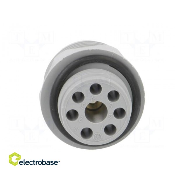 Socket | Connector: DIN 43651 | NR | male | PIN: 7 | w/o contacts | 10A paveikslėlis 5
