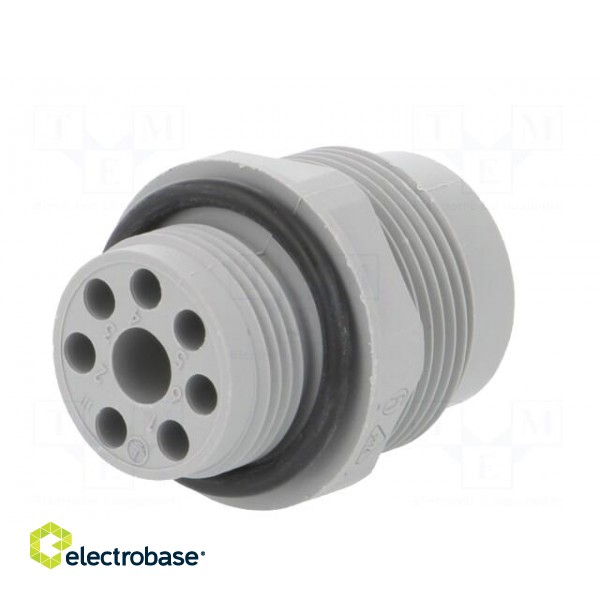 Socket | Connector: DIN 43651 | NR | male | PIN: 7 | w/o contacts | 10A paveikslėlis 6