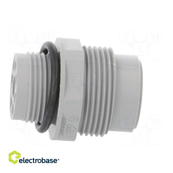 Socket | Connector: DIN 43651 | NR | male | PIN: 7 | w/o contacts | 10A paveikslėlis 7