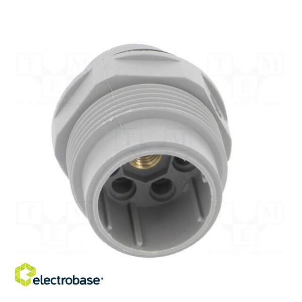 Socket | Connector: DIN 43651 | NR | male | PIN: 7 | w/o contacts | 10A paveikslėlis 9