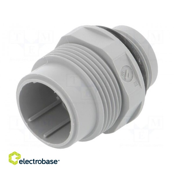 Socket | Connector: DIN 43651 | NR | male | PIN: 7 | w/o contacts | 10A paveikslėlis 1