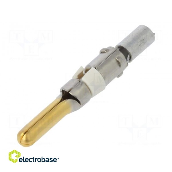 Contact | male | 16AWG÷14AWG | HR41 | gold-plated | crimped | for cable