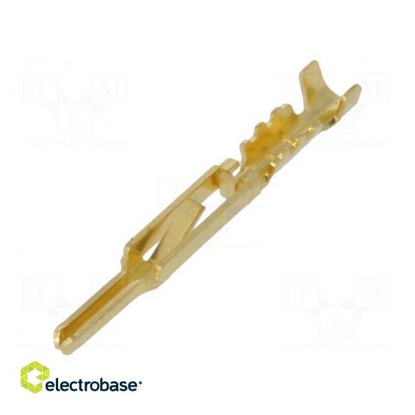Contact | male | 28AWG÷24AWG | gold-plated | crimped