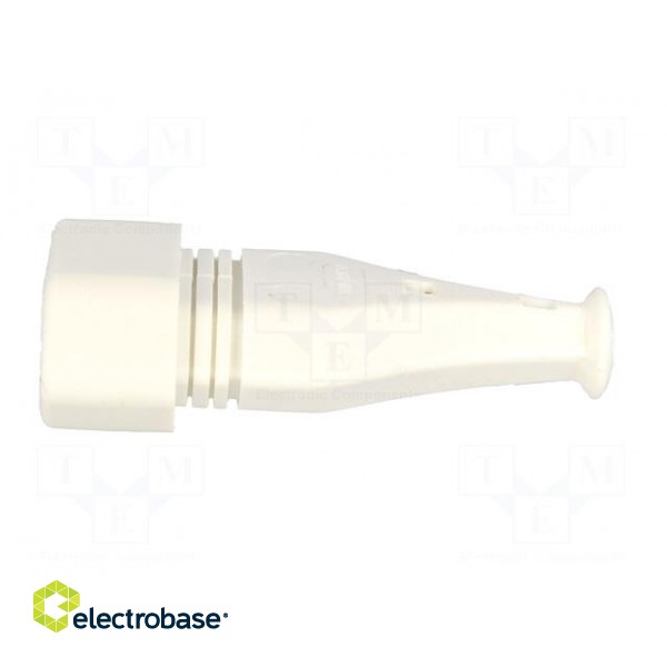 Connector: AC supply | female | socket | 2P | 250VAC | 2.5A | Type: flat image 3