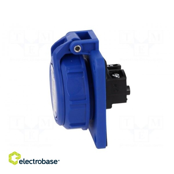 Connector: AC supply | female | socket | 2P+PE | 250VAC | 16A | blue paveikslėlis 3