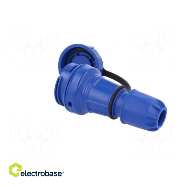 Connector: AC supply | female | socket | 2P+PE | 250VAC | 16A | blue фото 4