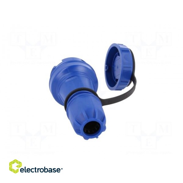 Connector: AC supply | female | socket | 2P+PE | 250VAC | 16A | blue фото 5