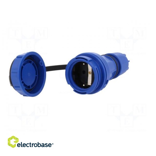 Connector: AC supply | female | socket | 2P+PE | 250VAC | 16A | blue фото 2