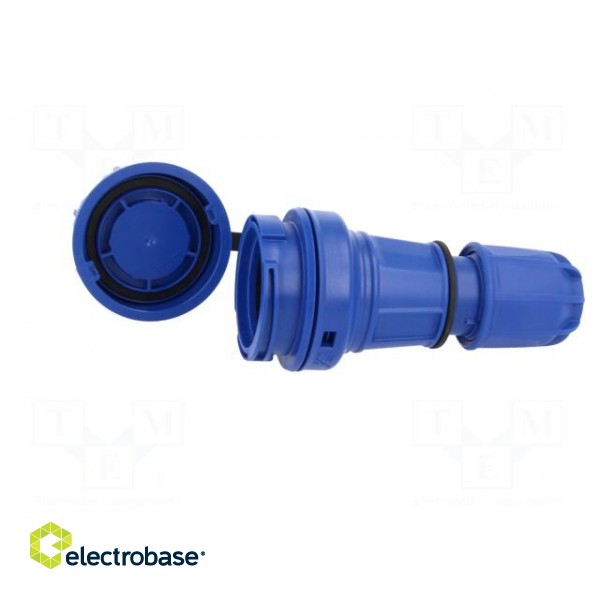 Connector: AC supply | female | socket | 2P+PE | 250VAC | 16A | blue фото 3