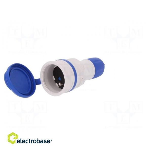 Connector: AC supply | female | socket | 2P+PE | 250VAC | 16A | blue,grey фото 2