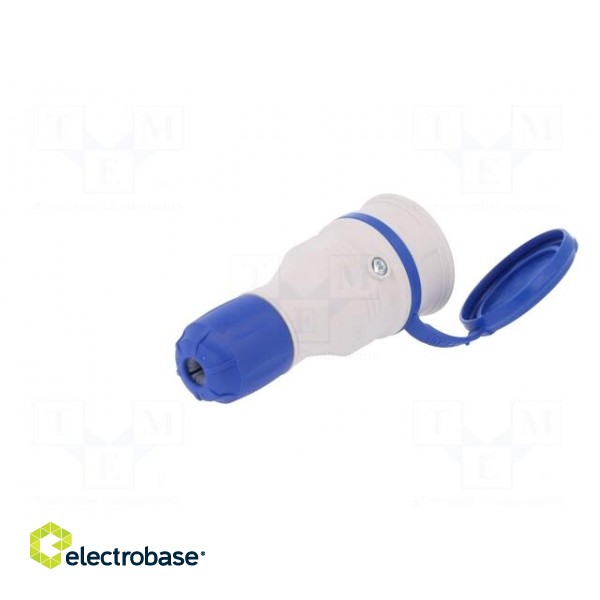 Connector: AC supply | female | socket | 2P+PE | 250VAC | 16A | blue,grey фото 6