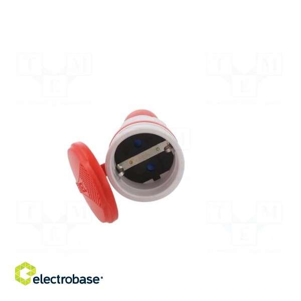Connector: AC supply | female | socket | 2P+PE | 250VAC | 16A | for cable фото 9