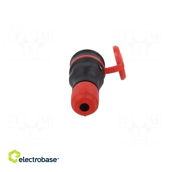 Connector: AC supply | female | socket | 2P+PE | 250VAC | 16A | for cable фото 5