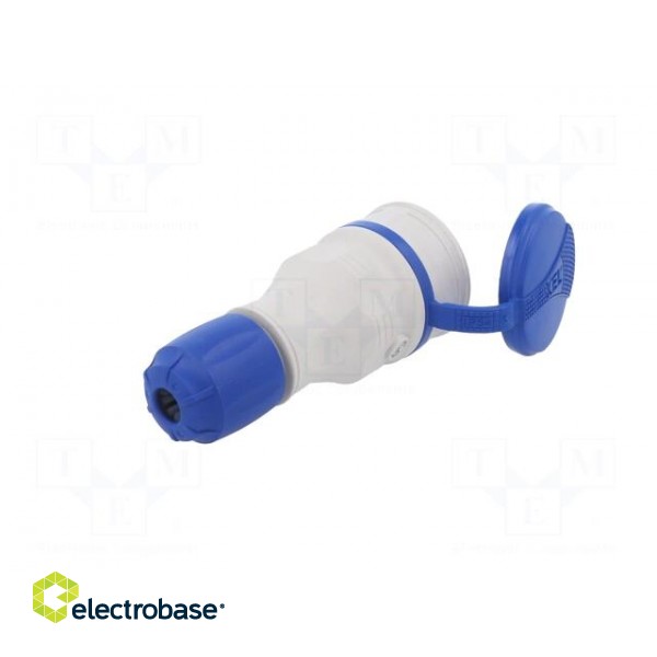 Connector: AC supply | female | socket | 2P+PE | 250VAC | 16A | for cable фото 6