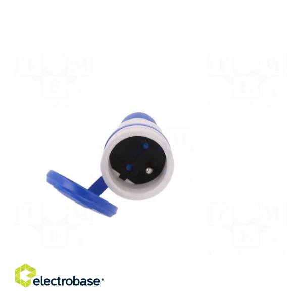 Connector: AC supply | female | socket | 2P+PE | 250VAC | 16A | blue,grey paveikslėlis 9
