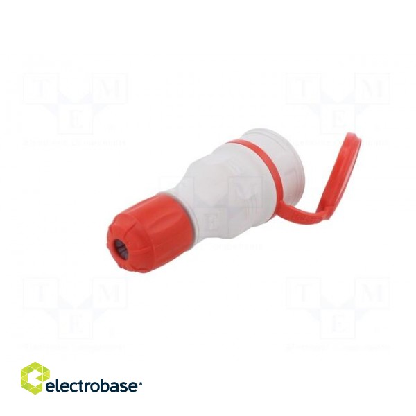Connector: AC supply | female | socket | 2P+PE | 250VAC | 16A | for cable image 6