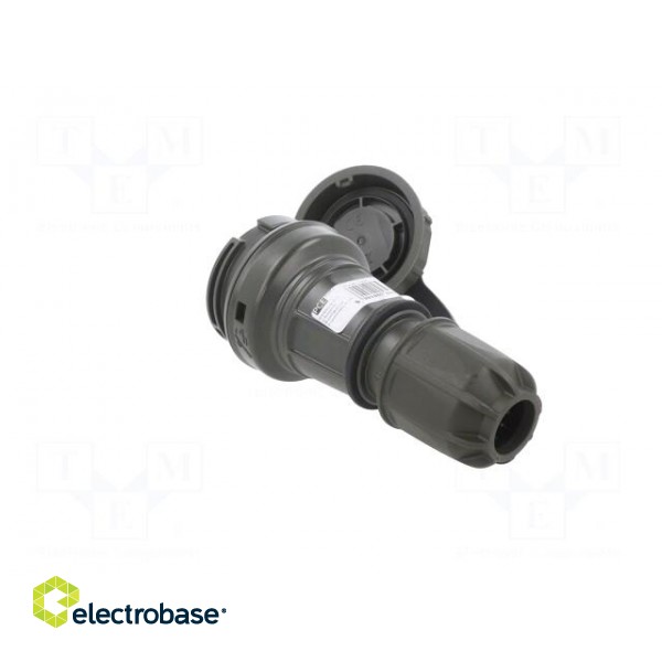 Connector: AC supply | female | socket | 2P+PE | 250VAC | 16A | green фото 4