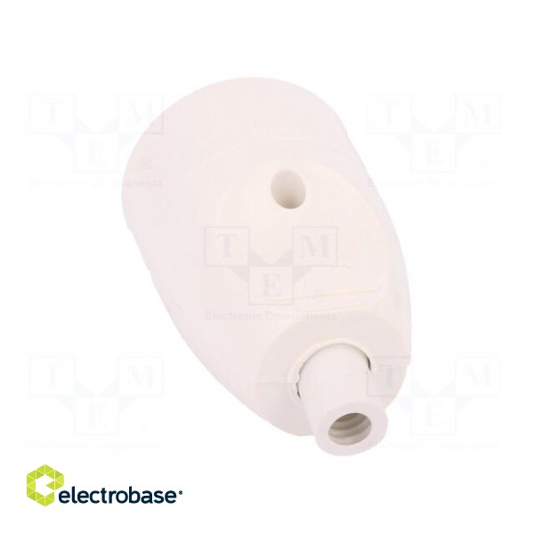 Connector: AC supply | female | socket | 2P+PE | 250VAC | 16A | white paveikslėlis 5
